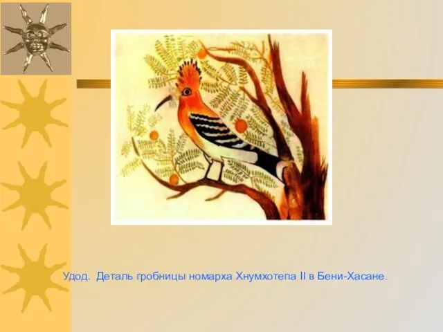 Удод. Деталь гробницы номарха Хнумхотепа II в Бени-Хасане.