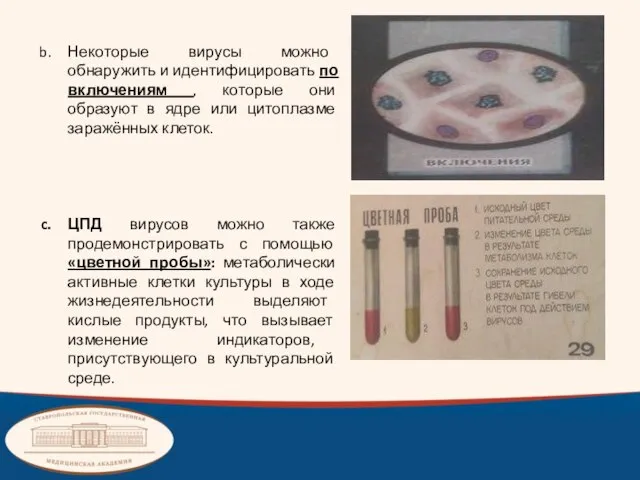 Некоторые вирусы можно обнаружить и идентифицировать по включениям , которые они