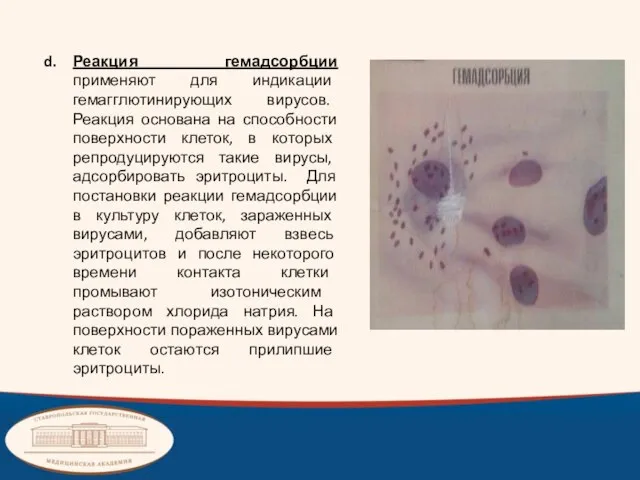 Реакция гемадсорбции применяют для индикации гемагглютинирующих вирусов. Реакция основана на способности