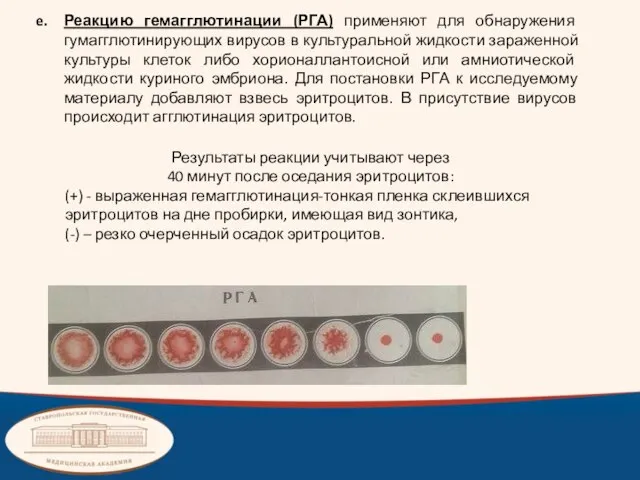 Реакцию гемагглютинации (РГА) применяют для обнаружения гумагглютинирующих вирусов в культуральной жидкости