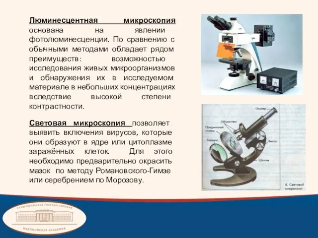 Люминесцентная микроскопия основана на явлении фотолюминесценции. По сравнению с обычными методами