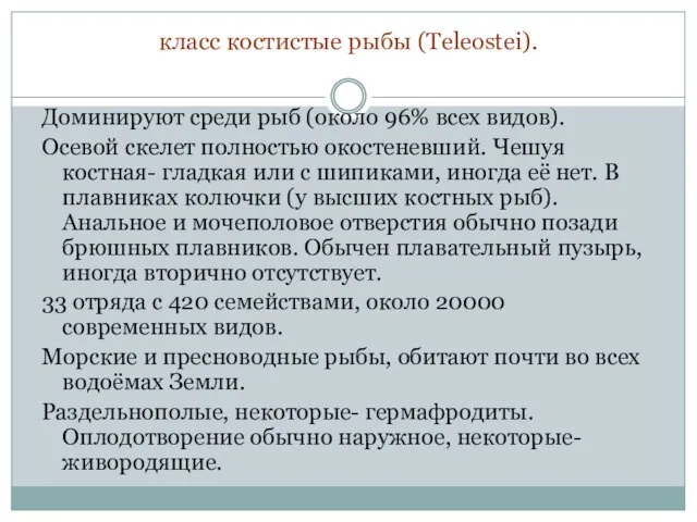 класс костистые рыбы (Teleostei). Доминируют среди рыб (около 96% всех видов).