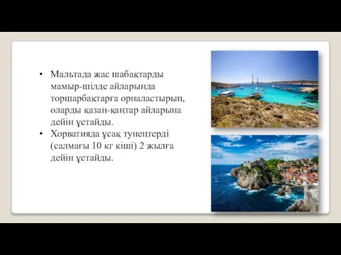 Мальтада жас шабақтарды мамыр-шілде айларында торшарбақтарға орналастырып, оларды қазан-қаңтар айларына дейін