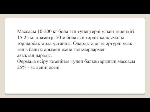 Массасы 10-200 кг болатын тунецтерді үлкен тереңдігі 15-25 м, диаметрі 50