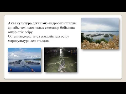 Аквакультура дегеніміз-гидробионттарды арнайы технологиялық схемалар бойынша өндірістік өсіру. Организмдерді теңіз жағдайында өсіру марикультура деп аталады.