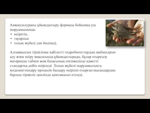 Аквакультураны ұйымдастыру формасы бойынша үш шаруашылыққа: өсіретін, тауарлық толық жүйелі деп