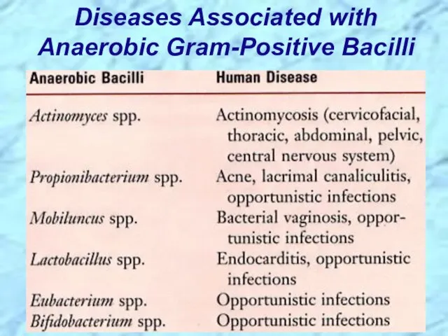 Diseases Associated with Anaerobic Gram-Positive Bacilli