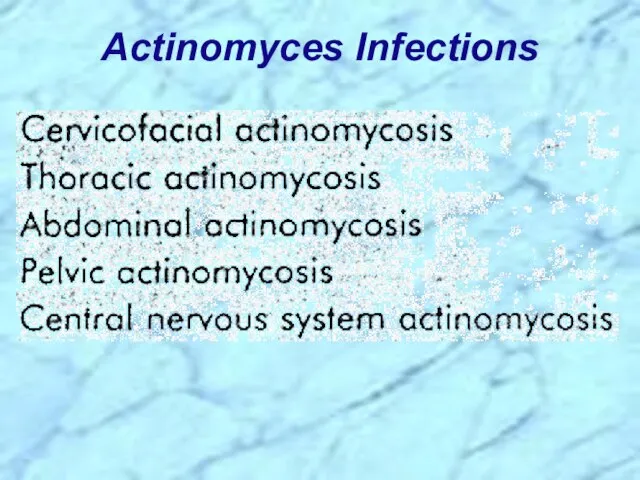 Actinomyces Infections