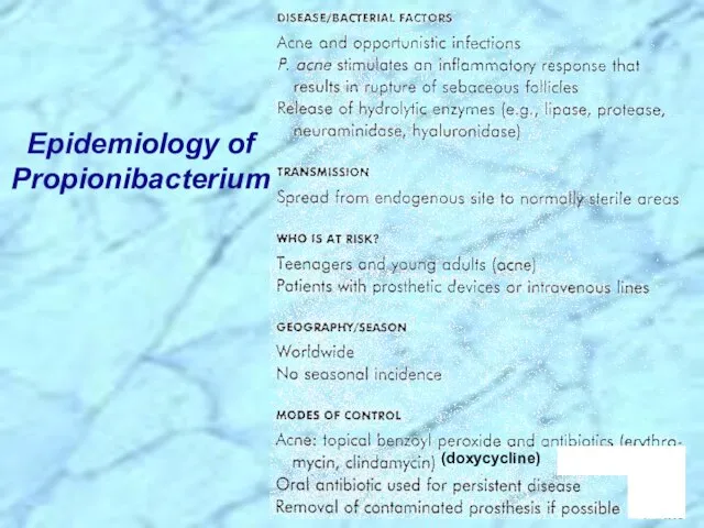 Epidemiology of Propionibacterium (doxycycline)