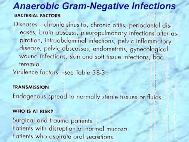 Anaerobic Gram-Negative Infections