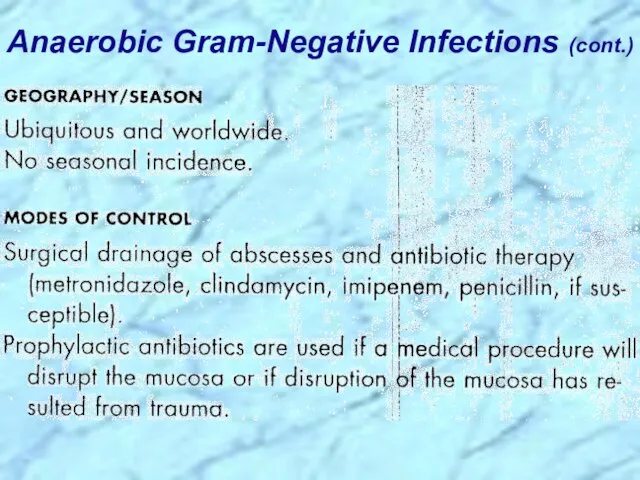 Anaerobic Gram-Negative Infections (cont.)