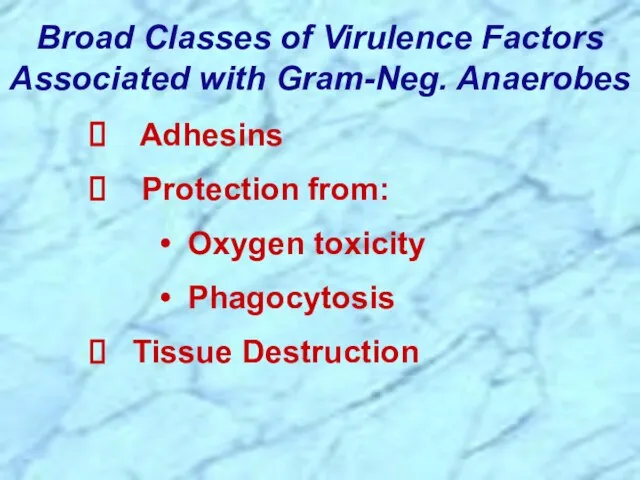 Broad Classes of Virulence Factors Associated with Gram-Neg. Anaerobes Adhesins Protection