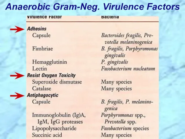 Anaerobic Gram-Neg. Virulence Factors