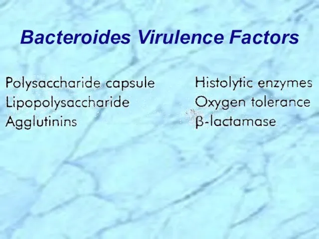 Bacteroides Virulence Factors