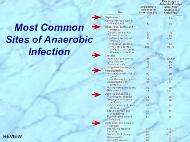 Most Common Sites of Anaerobic Infection REVIEW