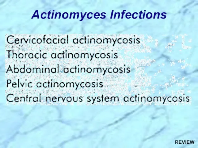 Actinomyces Infections REVIEW