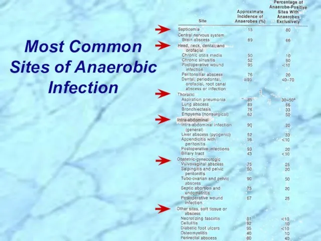 Most Common Sites of Anaerobic Infection