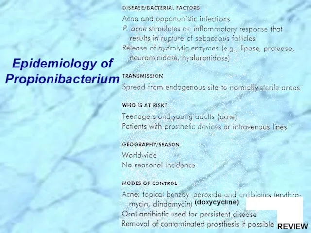 Epidemiology of Propionibacterium (doxycycline) REVIEW