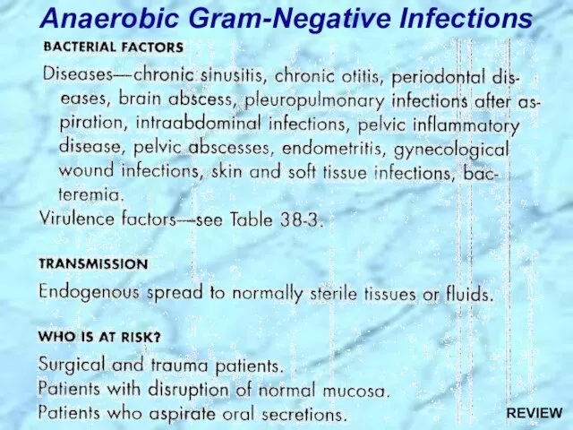 Anaerobic Gram-Negative Infections REVIEW