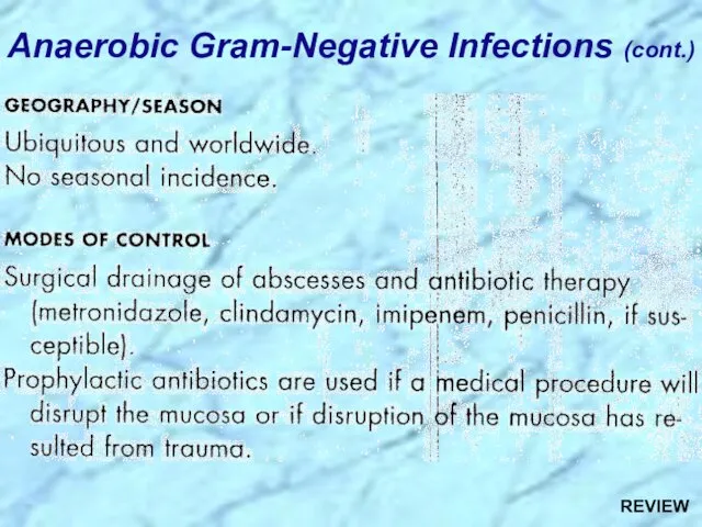 Anaerobic Gram-Negative Infections (cont.) REVIEW