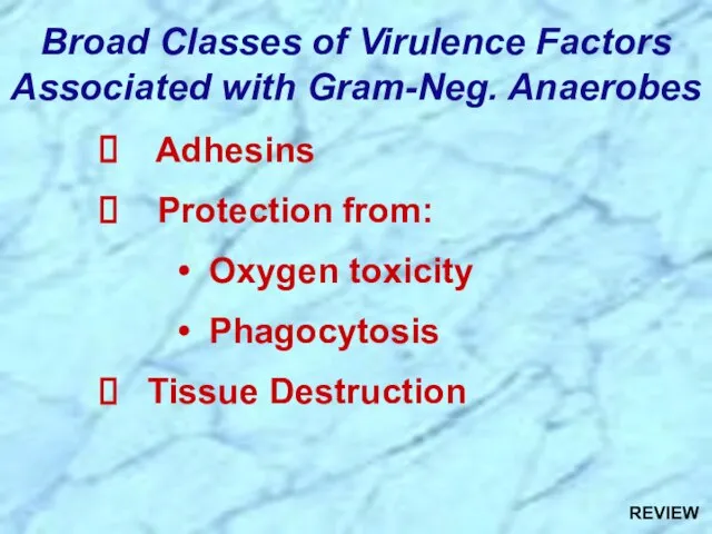 Broad Classes of Virulence Factors Associated with Gram-Neg. Anaerobes Adhesins Protection