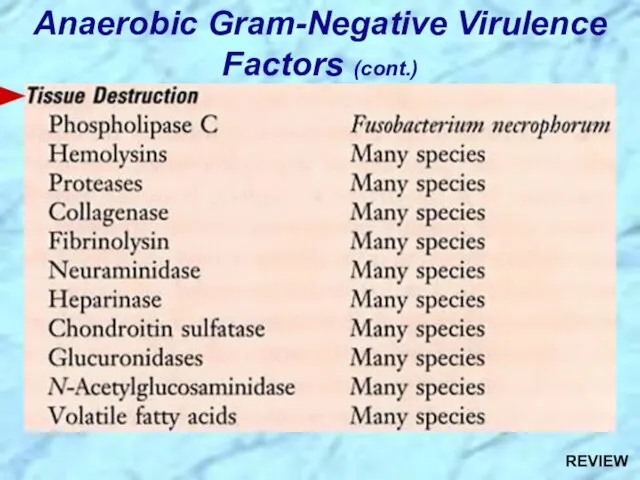 Anaerobic Gram-Negative Virulence Factors (cont.) REVIEW