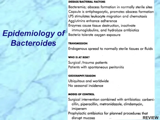 Epidemiology of Bacteroides REVIEW