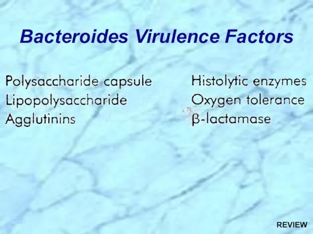 Bacteroides Virulence Factors REVIEW