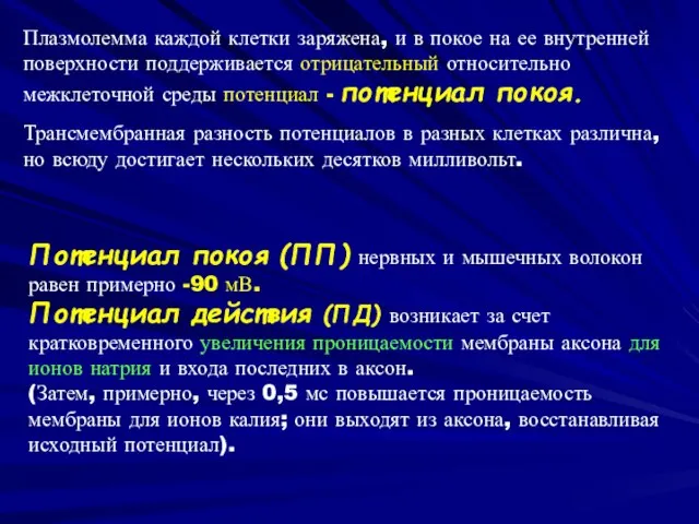 Плазмолемма каждой клетки заряжена, и в покое на ее внутренней поверхности