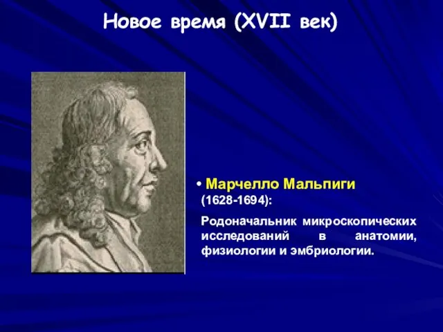 Новое время (XVII век) Марчелло Мальпиги (1628-1694): Родоначальник микроскопических исследований в анатомии, физиологии и эмбриологии.