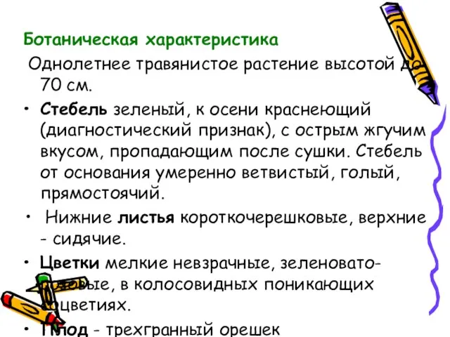 Ботаническая характеристика Однолетнее травянистое растение высотой до 70 см. Стебель зеленый,