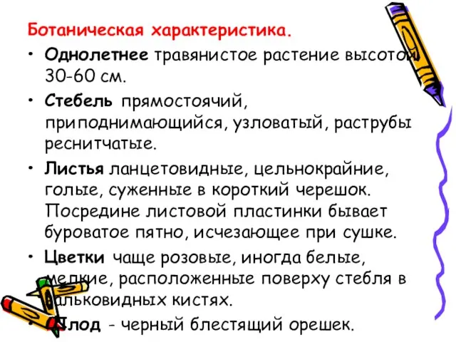 Ботаническая характеристика. Однолетнее травянистое растение высотой 30-60 см. Стебель прямостоячий, приподнимающийся,