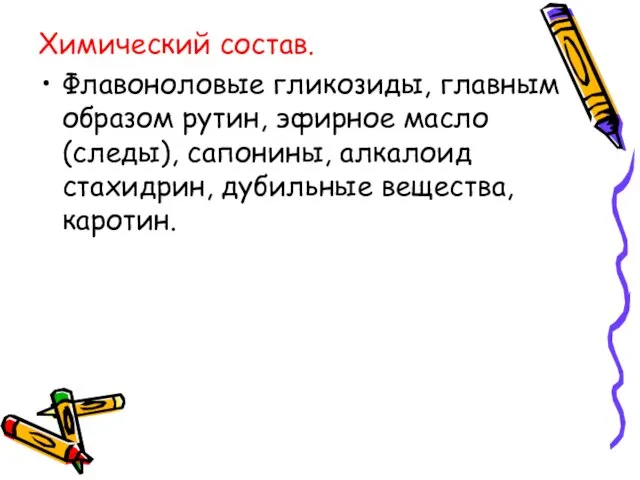 Химический состав. Флавоноловые гликозиды, главным образом рутин, эфирное масло (следы), сапонины, алкалоид стахидрин, дубильные вещества, каротин.