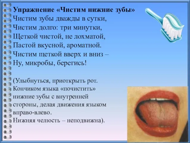 Упражнение «Чистим нижние зубы» Чистим зубы дважды в сутки, Чистим долго: