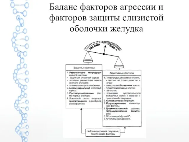 Баланс факторов агрессии и факторов защиты слизистой оболочки желудка