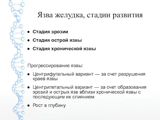 Язва желудка, стадии развития Стадия эрозии Стадия острой язвы Стадия хронической