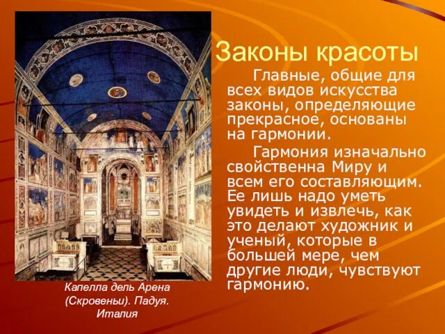 Законы красоты Главные, общие для всех видов искусства законы, определяющие прекрасное,