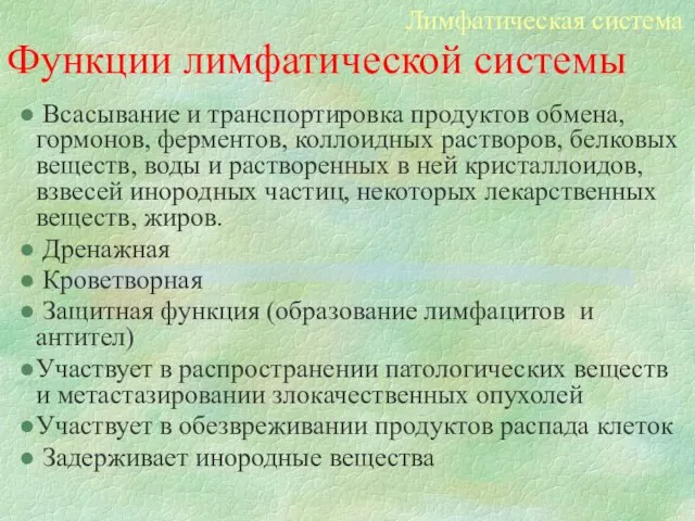 Функции лимфатической системы Всасывание и транспортировка продуктов обмена, гормонов, ферментов, коллоидных