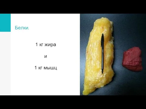 Белки. 1 кг жира и 1 кг мышц