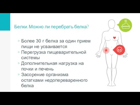 Белки. Можно ли перебрать белка? Более 30 г белка за один