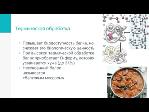 Термическая обработка Повышает биодоступность белка, но снижает его биологическую ценность При