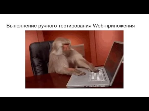 Выполнение ручного тестирования Web-приложения