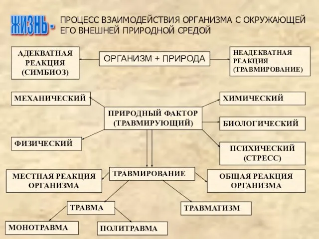 ПРОЦЕСС ВЗАИМОДЕЙСТВИЯ ОРГАНИЗМА С ОКРУЖАЮЩЕЙ ЕГО ВНЕШНЕЙ ПРИРОДНОЙ СРЕДОЙ ЖИЗНЬ -