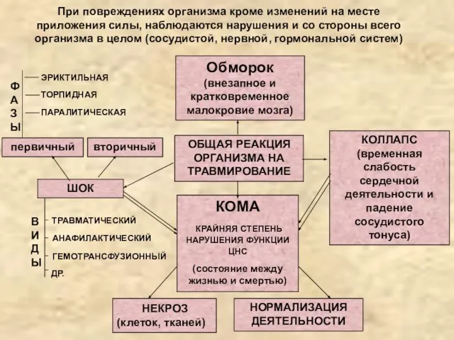 При повреждениях организма кроме изменений на месте приложения силы, наблюдаются нарушения