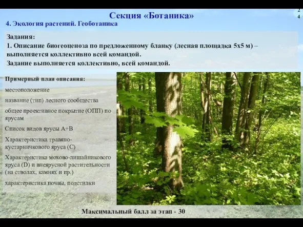 24 Секция «Ботаника» Задания: 1. Описание биогеоценоза по предложенному бланку (лесная