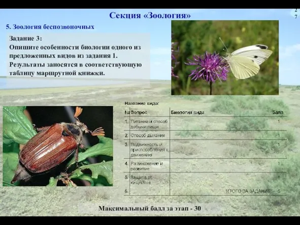 27 Секция «Зоология» Задание 3: Опишите особенности биологии одного из предложенных