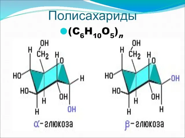 Полисахариды (C6H10O5)n