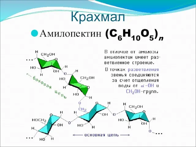 Крахмал Амилопектин (C6H10O5)n