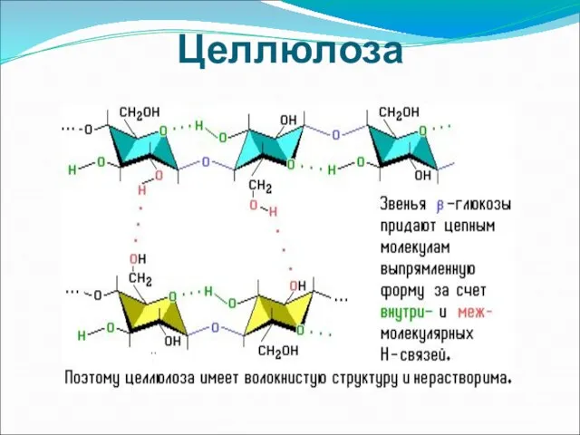 Целлюлоза