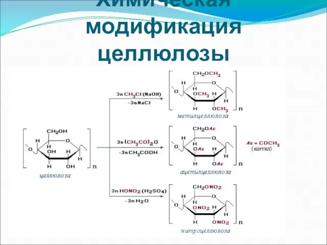 Химическая модификация целлюлозы